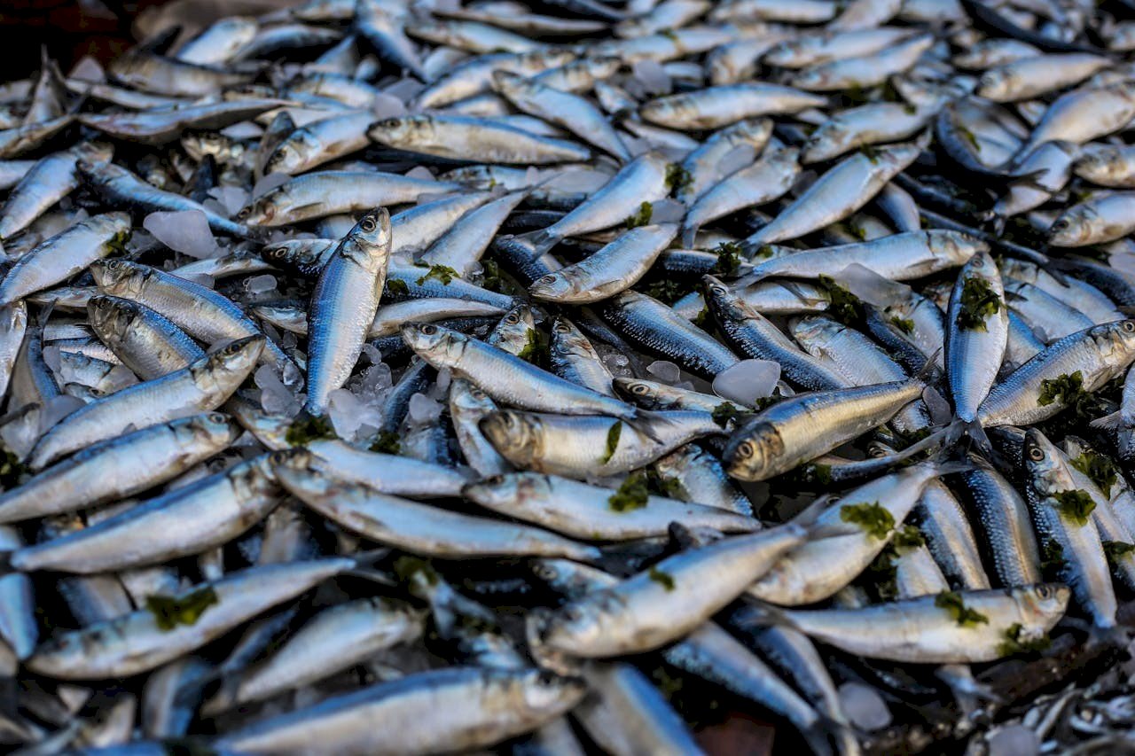 The Rich Flavors of Indonesia: A Journey Through Jayari Seafood's Premium Offerings